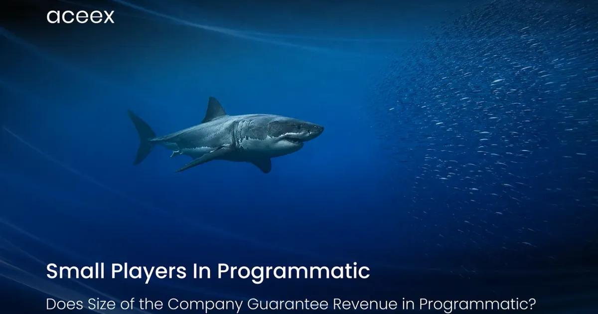 Small Players in Programmatic: Can Smaller Companies Really Earn?